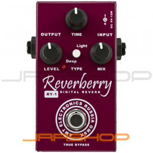 AMT Electronics RY-1 Reverberry Digital Reverb Pedal
