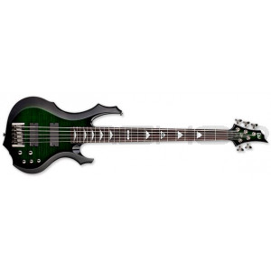 ESP LTD Danny Kenny DK-5 Bass Guitar