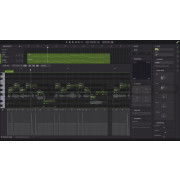 Dreamtonics Synthesizer V Pro Mandarin Bundle 3 Voices