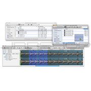 Audio Ease Snapper 2