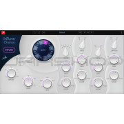 Antelope Audio InTune Chorus