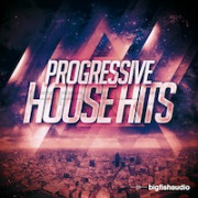 Big Fish Audio Progressive House Hits 