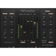 PSP Levelizer