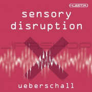Ueberschall Sensory Disruption
