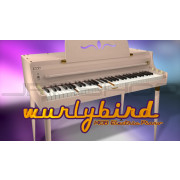 Cherry Audio Wurlybird 140B