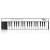 IK Multimedia iRig Keys with Lightning Mobile Keyboard