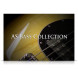 Acousticsamples AS Bass Collection Library