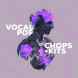Audiomodern VOCAL POP Loopmix Expansion Pack