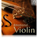 Best Service Emotional Violin
