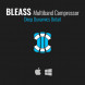 BLEASS Multiband Compressor