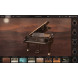 IK Multimedia Pianoverse NY Grand S274