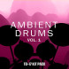 Roland TD-17 Kit Pack: Ambient Drums Vol. 1 Lifetime Key