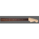 Warmoth SN18972 Stratocaster Maple Neck with Pau Ferro Fretboard