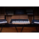Sequential Trigon-6 Analog Poly Synth Keyboard - Open Box