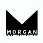 Morgan Amplification